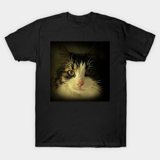 Mister Tiger T-Shirt